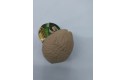 Thumbnail of dinosaur-squishy-eggs_401096.jpg