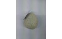 Thumbnail of dinosaur-squishy-eggs_401299.jpg