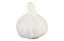 Thumbnail of garlic---2-89kg_549010.jpg