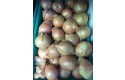 Thumbnail of onion---1-69-kg_551667.jpg