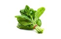 Thumbnail of spinach_569054.jpg