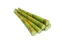 Thumbnail of sugar-cane_547181.jpg