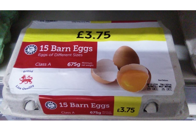 15 Barn Eggs