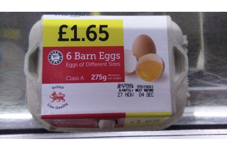 6 Barn Eggs 