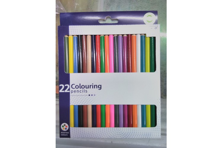 Colouring Pencils 22 pack