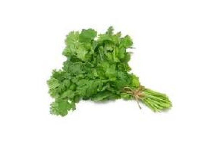 Coriander 