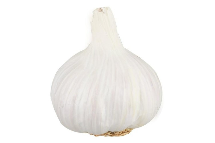 Garlic £4.99 / KG 