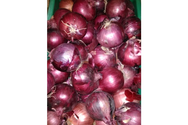 Red Onion £1.99/KG