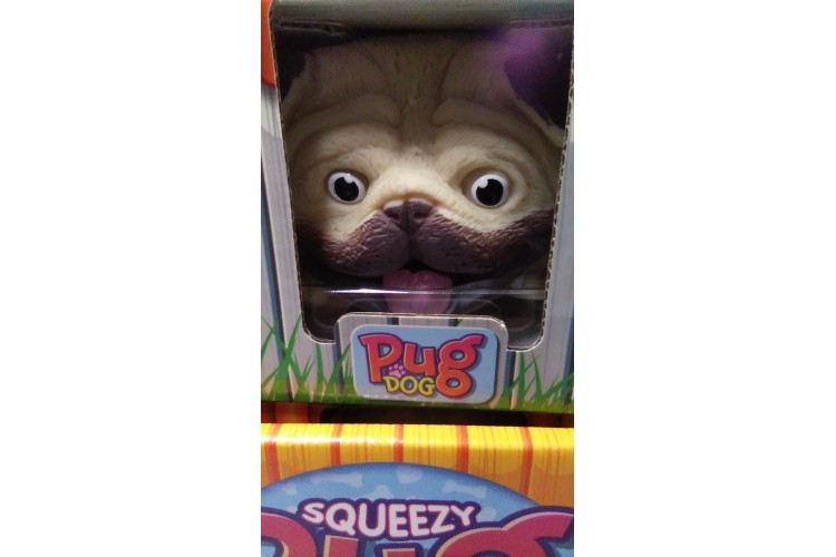 Squeezy Pug Dog