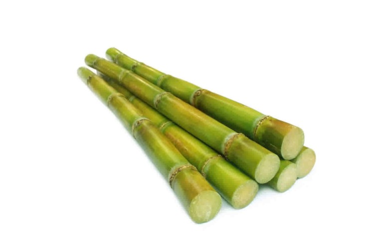 Sugar Cane £2.49 Each