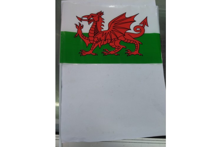 Wales Plastic Flag With Stick 12